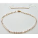 A single strand of cultured pearls