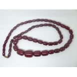A large cherry amber necklace made up of graduated barrel shaped beads, 100g