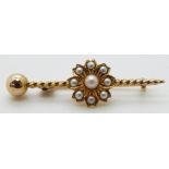 Edwardian gold brooch set with seed pearls in a flower setting, in original box, 3.36g, 4.3 x 1.3cm