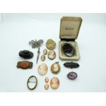 A collection of brooches including two Victorian jet, a Chinese brooch set with agate, lava cameo,