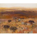 Jane Tully Heath; Near Estcourt, Winter