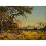 Erich Mayer; The Bushveld near Potgietersrust