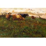 Adriaan Boshoff; Cattle Grazing