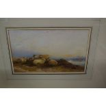 Thomas Francis Wainewright, sheep resting in a coastal setting, signed and dated 1881, watercolour,