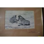 After David Shepherd, two zebra, signed in pencil to the mount, print, 15 x 23.5cm.