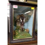 Taxidermy: a lesser spotted woodpecker, in a glazed case, 32cm high.