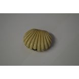 An antique ivory scallop shell purse, 6.5cm wide.