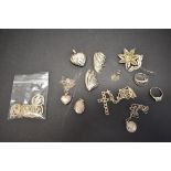 A small selection of silver jewellery and other items, including zodiac sign charms.