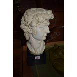 After Michaelangelo, a resin bust of David, on socle, 35cm high; together with another resin