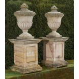 Plant pots/Planters: † A pair of carved stone urns on pedestals after a design by William