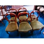 6 Victorian walnut chairs