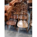 9 Ercol dining chairs