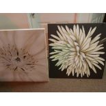 2 Modern canvasses