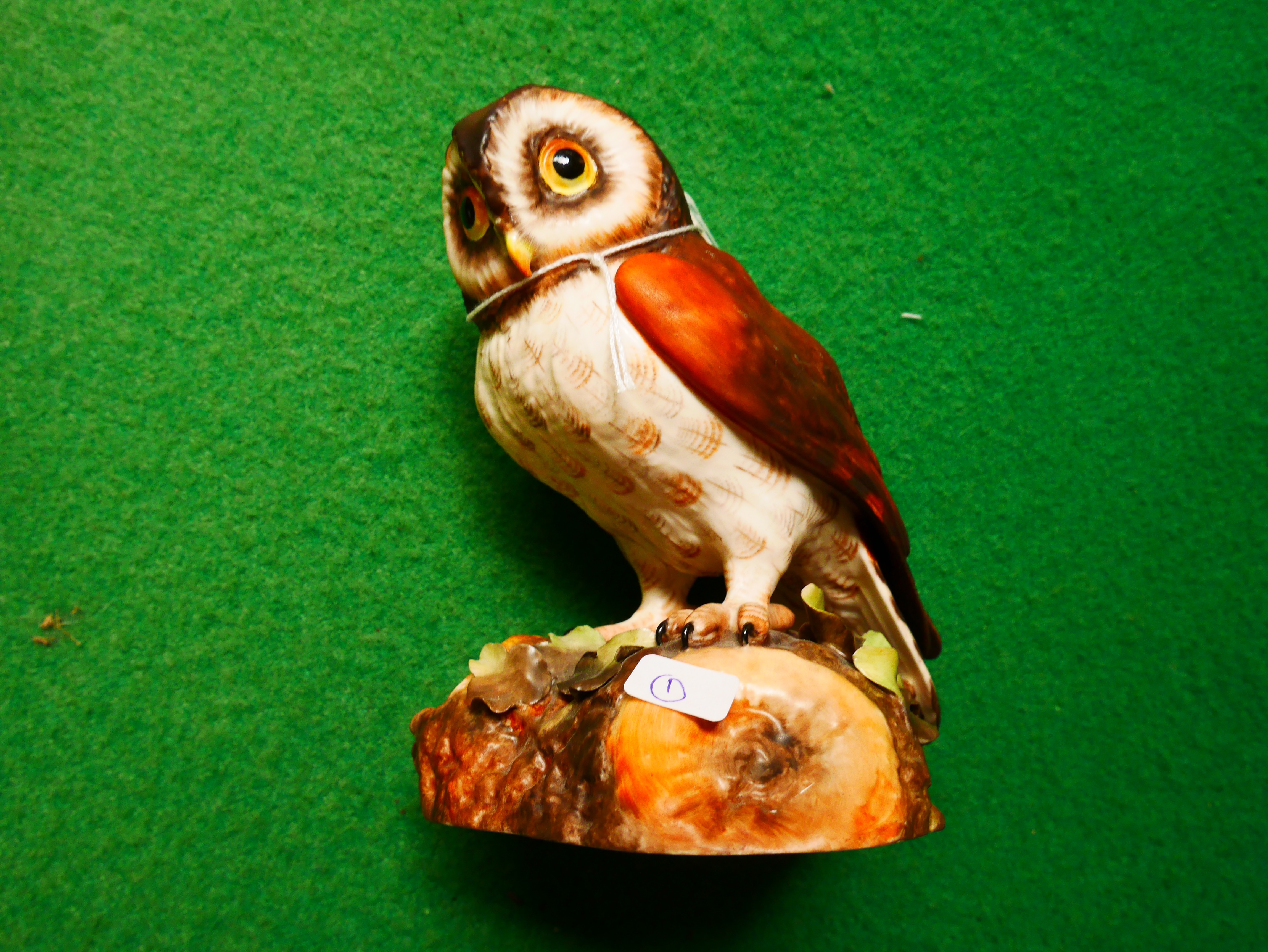 Royal Crown Derby owl figurine