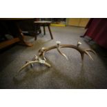 Antler candle holders