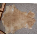 Kangaroo skin rug