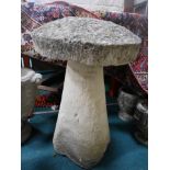 Garden mushroom