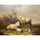 A GILT FRAMED OIL PAINTING Pastoral landscape with sheep and chicken. 30x40cm.