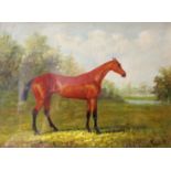 AN EBONISED FRAMED EQUINE OIL PAINTING Of a chestnut thoroughbred horse in a landscape. 29 x 39cm