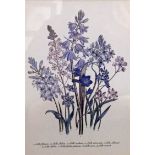 A SELECTION OF EIGHT BOTANICAL COLOURED ENGRAVINGS AND PRINTS Comprising of prints from various