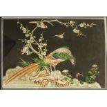 A FRAMED QIANLONG PICTURE OF A PHEASANT AND OTHER BIRDS, Beside flowering prunus rising from pierced