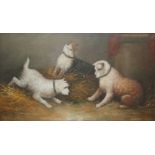 A GILT FRAMED OIL PAINTING study of terrier dog in a barn 20.5 X 36cm