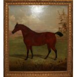A 19TH CENTURY OIL ON CANVAS Horse in a landscape, contained in a decorative gilt frame. (oil 55.5cm