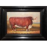 OIL ON CANVAS Bovine study of a prized bull, in an ebonised cushion frame. (34cm x 24cm) (frame 47.