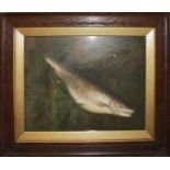 AN OIL ON CANVAS Still life, study of a chubb fish in a diving pose with marine vegetation, held