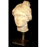 A CARVED STONE HEAD OF THE GREEK GODDESS DIANA Having long hair tied in a knot. (approx 41cm x 50cm)