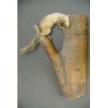 A LATE 20TH CENTURY TAXIDERMY GREY SQUIRREL MOUNTED ON A LOG. (h 49cm)