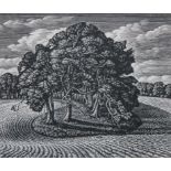 HOWARD PHIPPS, B. 1954, WOOD ENGRAVING 'Beech Shaded Hollow, Cranborne Chase', (77/150), signed in