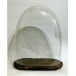 A LATE 19TH CENTURY GLASS DOME. (h 42.5cm x w 36cm x d 18cm) Condition: crack to the glass