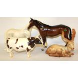 A BESWICK PORCELAIN AYRESHIRE BULL, 'CH WHITEHALL MANDATE' Finished in a brown and white glaze,