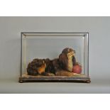 A 19TH CENTURY TAXIDERMY CAVALIER KING CHARLES SPANIEL Mounted in a glazed case with bun feet. The