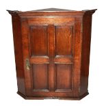 A VICTORIAN OAK CORNER CUPBOARD Of small proportions, having a four panel door and brass escutcheon.