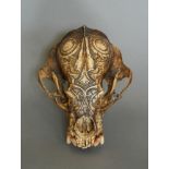 A LATE 19TH/EARLY 20TH CENTURY DAYAK TRIBE CARVED SUN BEAR SKULL. (h 10cm x w 20.5cm x d 16cm)