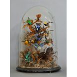 A LATE 19TH CENTURY TAXIDERMY GROUP OF TROPICAL BIRDS UNDER GLASS DOME IN A NATURALISTIC SETTING