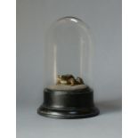 A 20TH CENTURY RARE SCULPTURE CAST OF A TOAD UNDER GLASS DOME Hand painted in a naturalistic