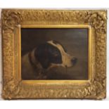 A 19TH CENTURY OIL ON PAPER LAID TO PANEL Depicting a gun dog, bearing inscription to reverse '