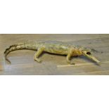 A LATE 19TH CENTURY TAXIDERMY CROCODILE. (l 92cm)