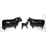 A BESWICK PORCELAIN ABERDEEN ANGUS BULL, NO. JBF86 (47) Finished in a black glaze, sold together
