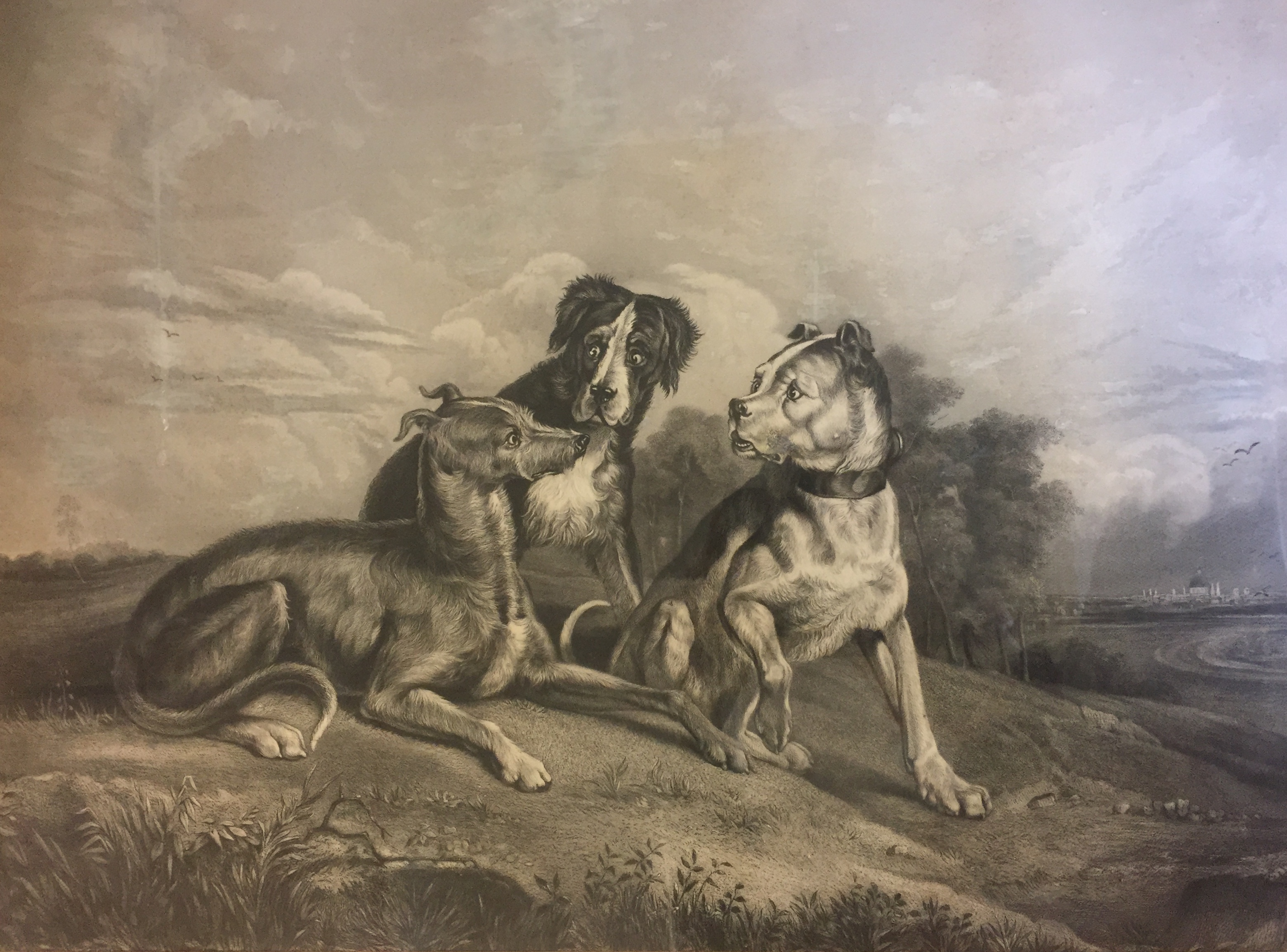 'THE BOASTING HOUND', SIR EDWIN LANDSEER, 1802 -1873, A VICTORIAN ENGRAVING Illustrated with three