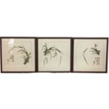 A SET OF THREE CHINESE WATERCOLOURS Each with a foliate depiction next to Chinese inscription,