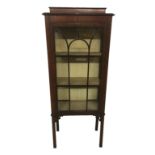 AN EDWARDIAN MAHOGANY DISPLAY CABINET With a single door, raised on square legs (58cm x 145cm)