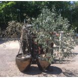 A PAIR OF LARGE LUSTRE POTTERY GARDEN PLANTERS Having bronzed finish complete with plants, sold