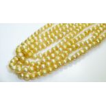 A LONG VINTAGE YELLOW PEARL NECKLACE Having a continuous single strand of pearls and no clasp. (each
