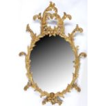 A PAIR OF GEORGE III CARVED GILTWOOD OVAL MIRRORS Decorated with elaborate scrolling foliage and