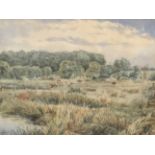 W. HODSON, 1886, WATERCOLOUR Landscape, cattle grazing, mounted, framed and glazed. (61cm x 51cm)