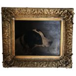 A 19TH CENTURY OIL ON PAPER LAID TO PANEL Gun dog, bearing inscription to reverse 'Head of a